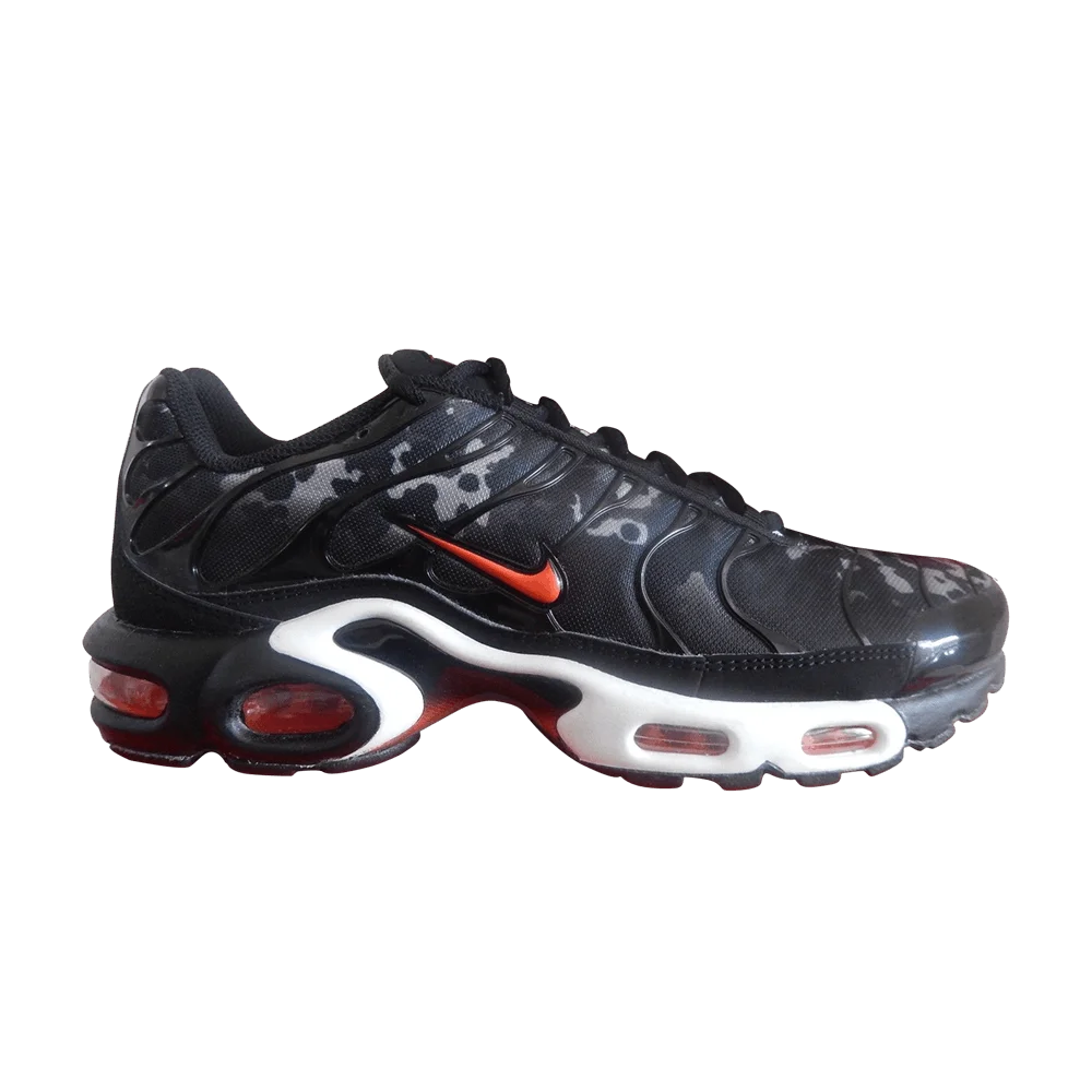 Кроссовки Nike Air Max Plus TXT