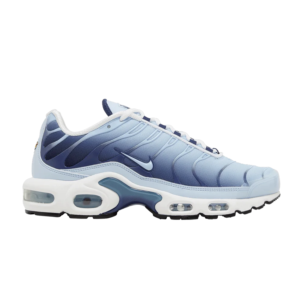 Кроссовки Nike Wmns Air Max Plus 'Celestine Blue'