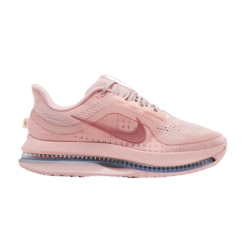 Кроссовки Nike Wmns Pegasus Premium 'Atmosphere'