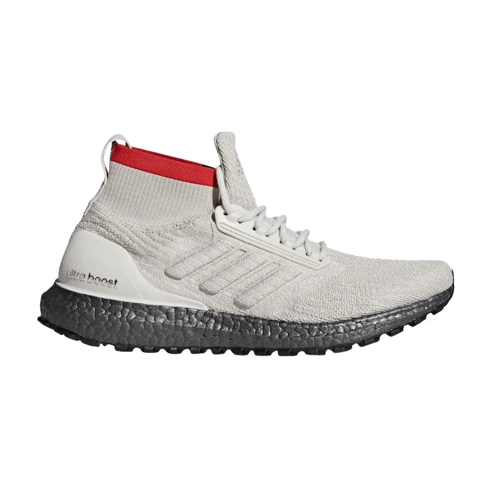Кроссовки Adidas UltraBoost AT 'Clear Brown'