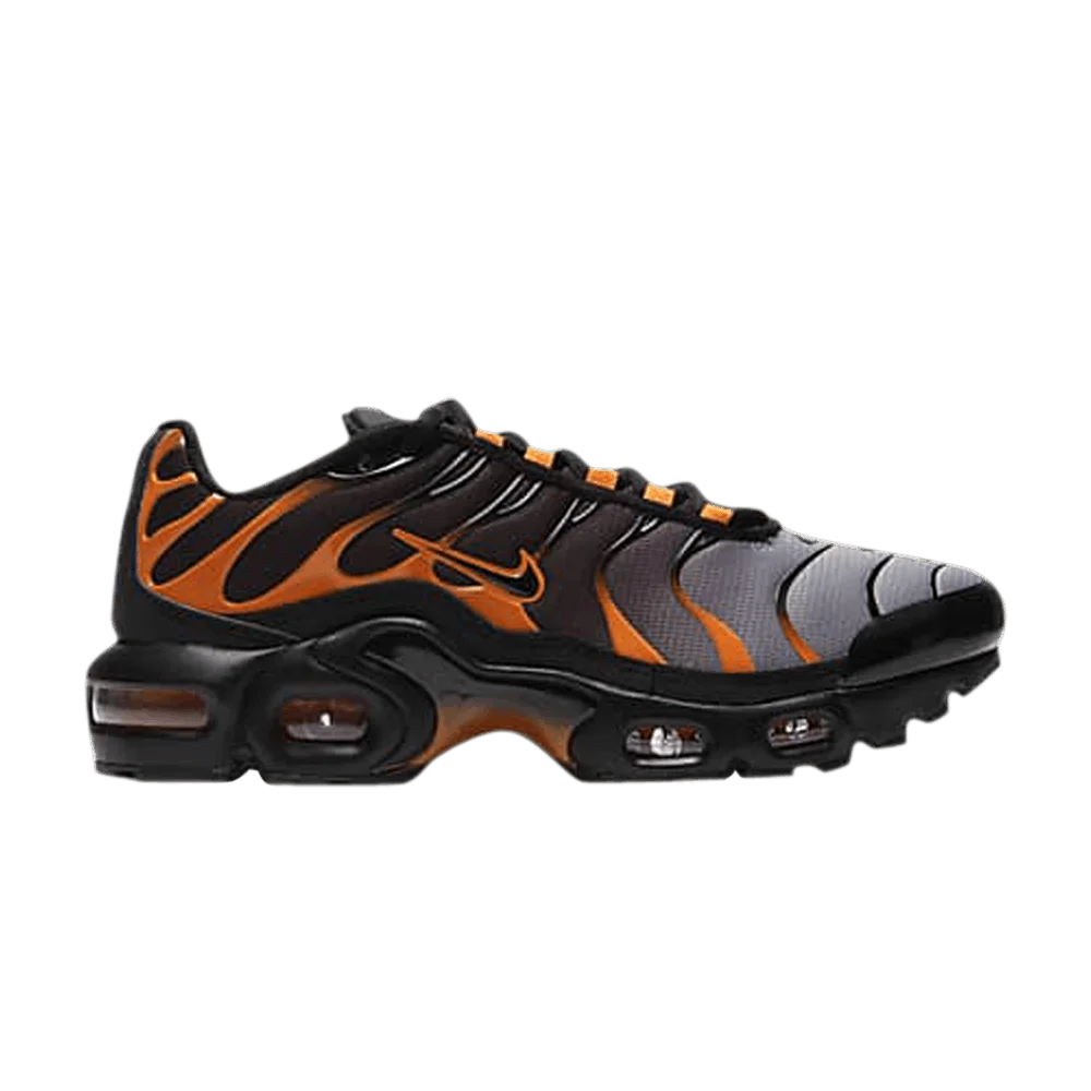 Кроссовки Nike Air Max Plus GS 'Black Team Orange'