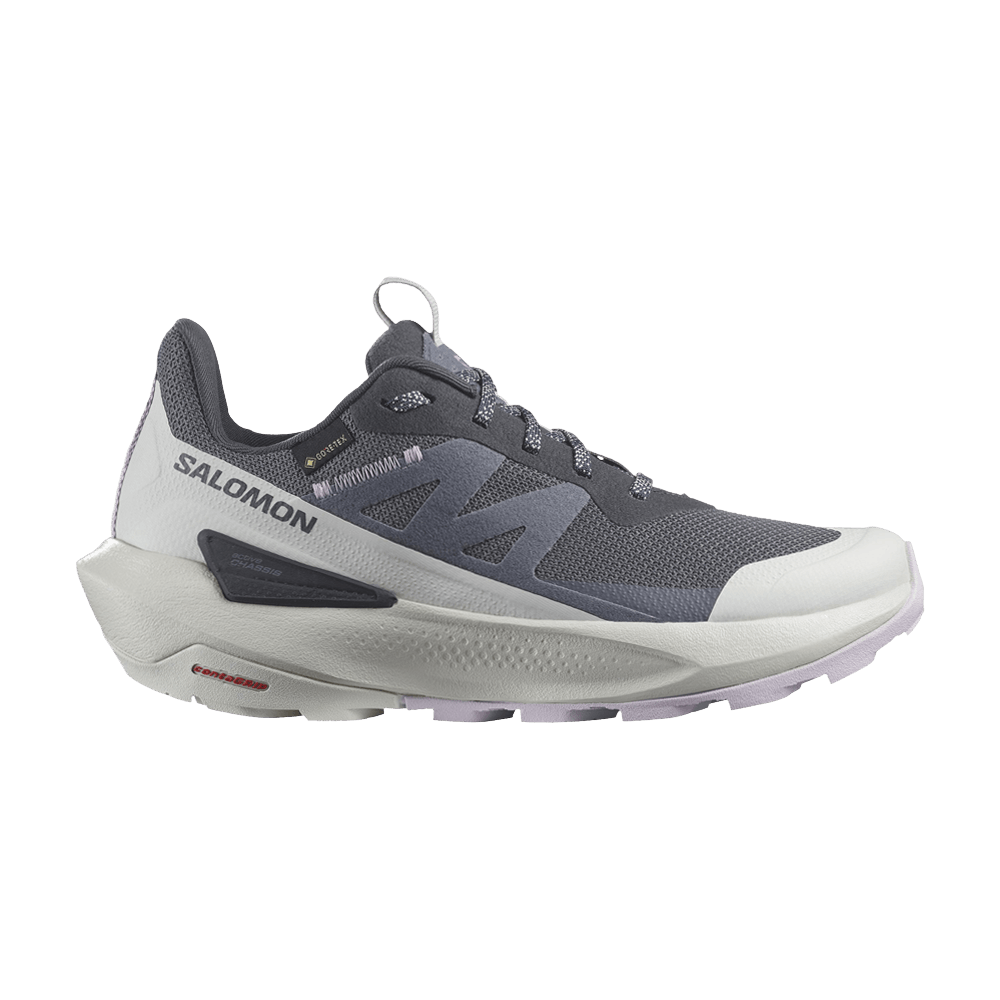 Кроссовки Salomon Wmns Elixir Activ GORE-TEX 'India Ink Orchid Petal'