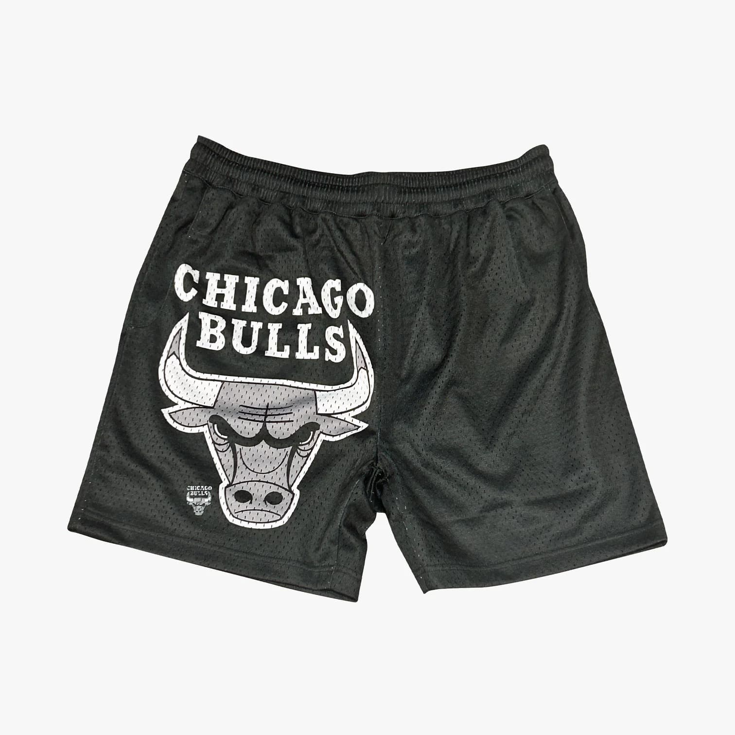 Спортивные шорты Chicago Bulls Apollo Mesh Team Logo NBA Shorts