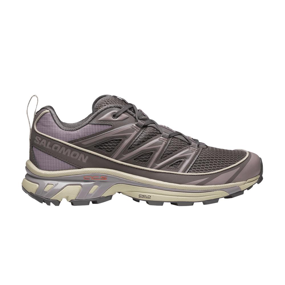 Кроссовки Salomon XT-6 Expanse Seasonal 'Plum Kitten Quail'
