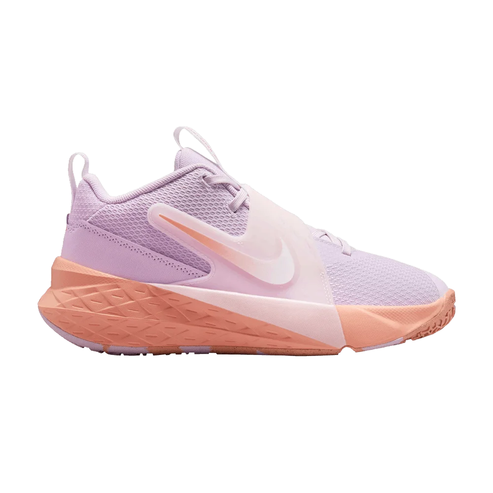 Кроссовки Nike Team Hustle D12 GS 'Doll'