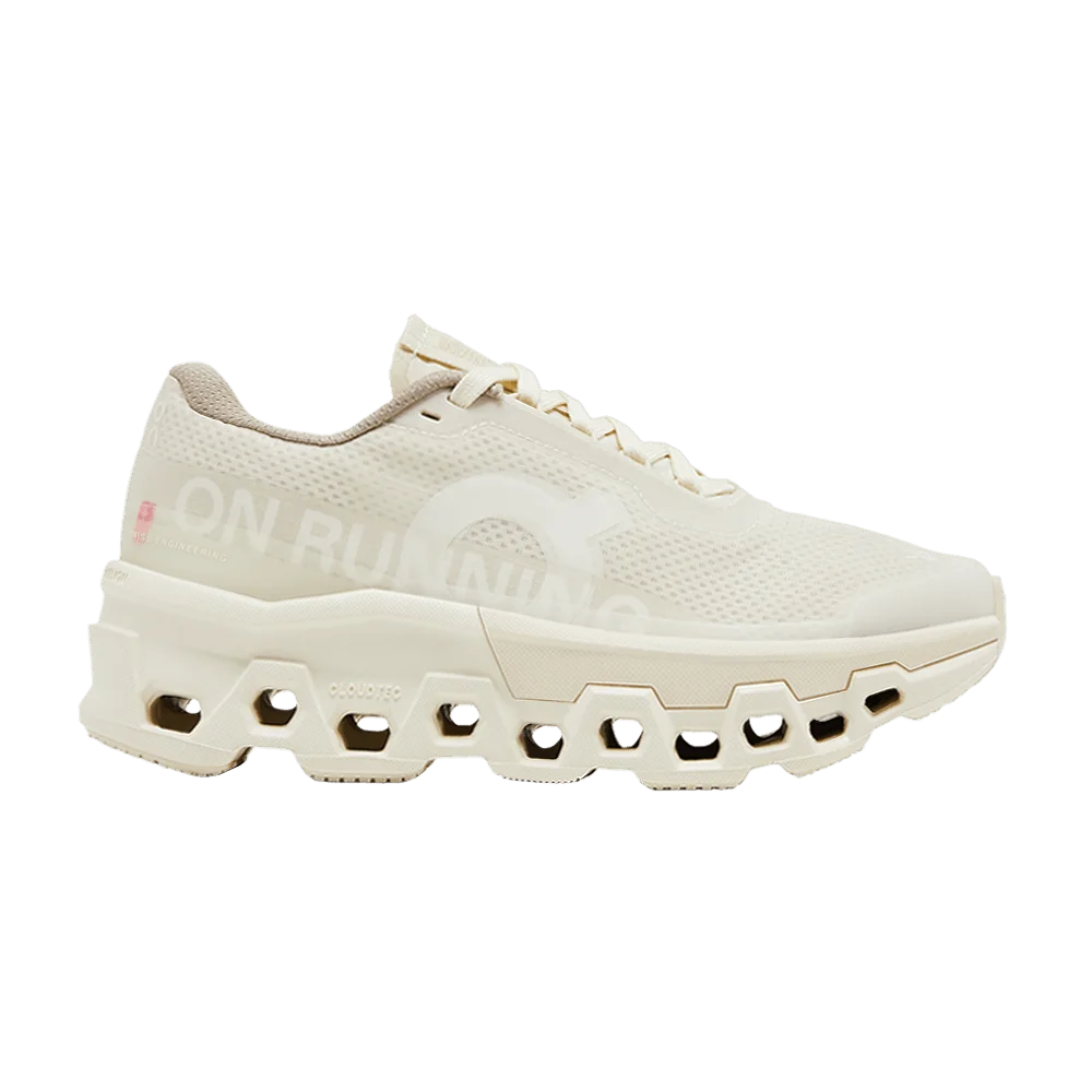 Кроссовки INVINCIBLE x Wmns Cloudmonster 2 'Deconstructed Perfection'