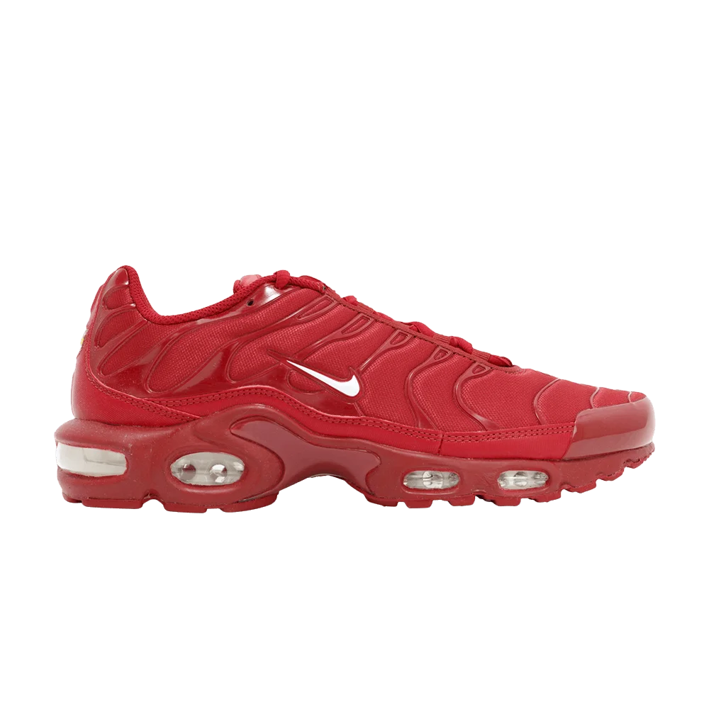 Кроссовки Nike Air Max Plus TXT