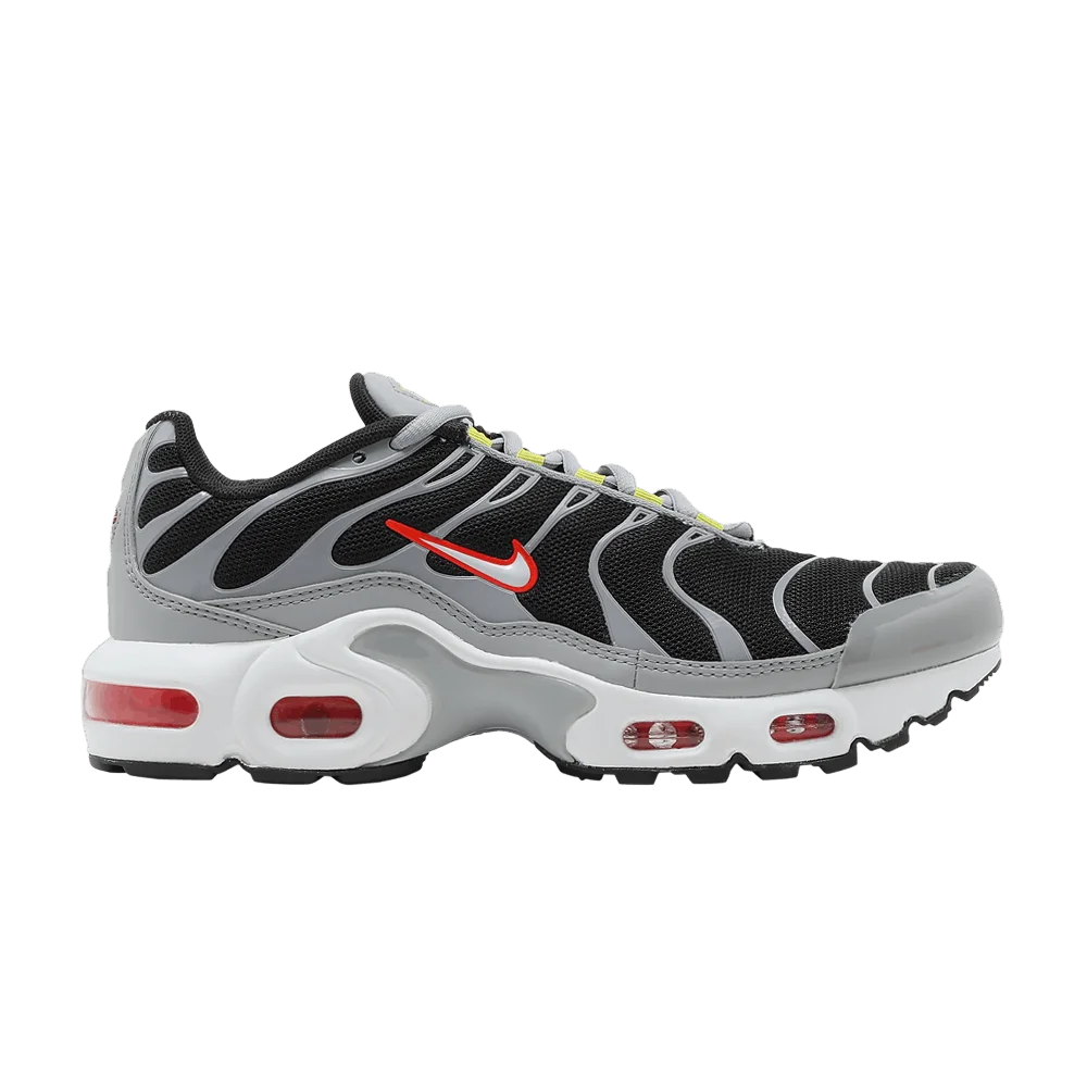 Кроссовки Nike Air Max Plus GS 'Dark Smoke Grey'