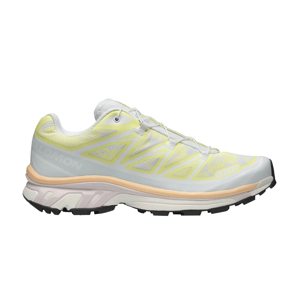 Кроссовки Salomon XT-6 'Alpen Blossom Ice Flow'