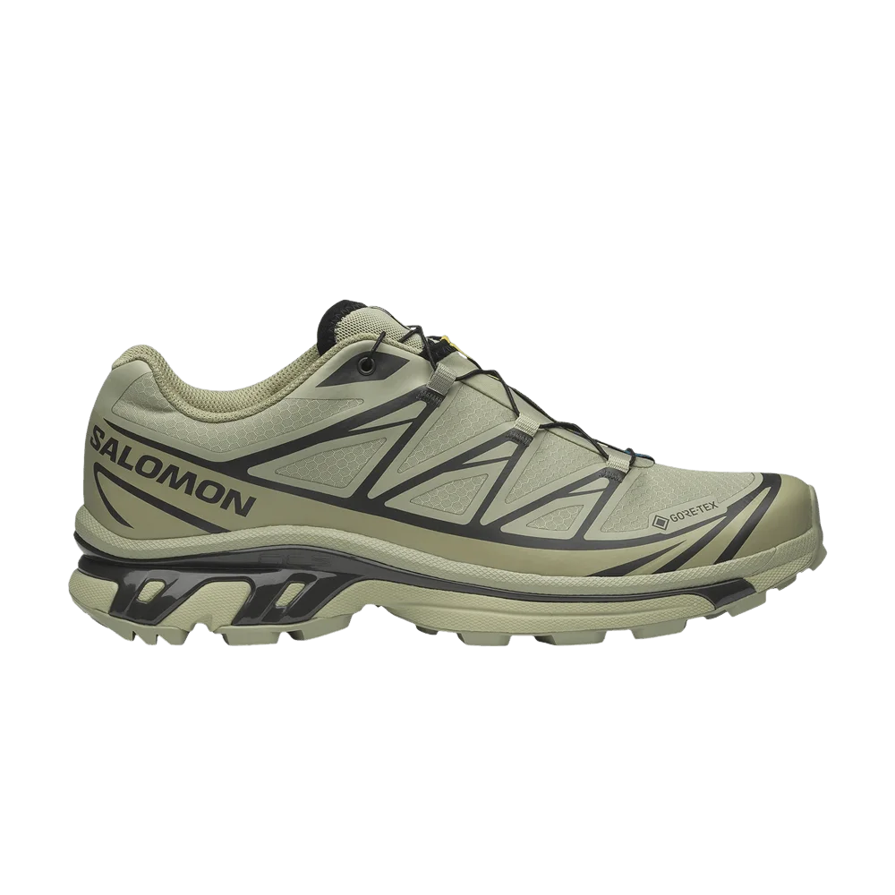 Кроссовки Salomon XT-6 GORE-TEX 'Tea Peat'