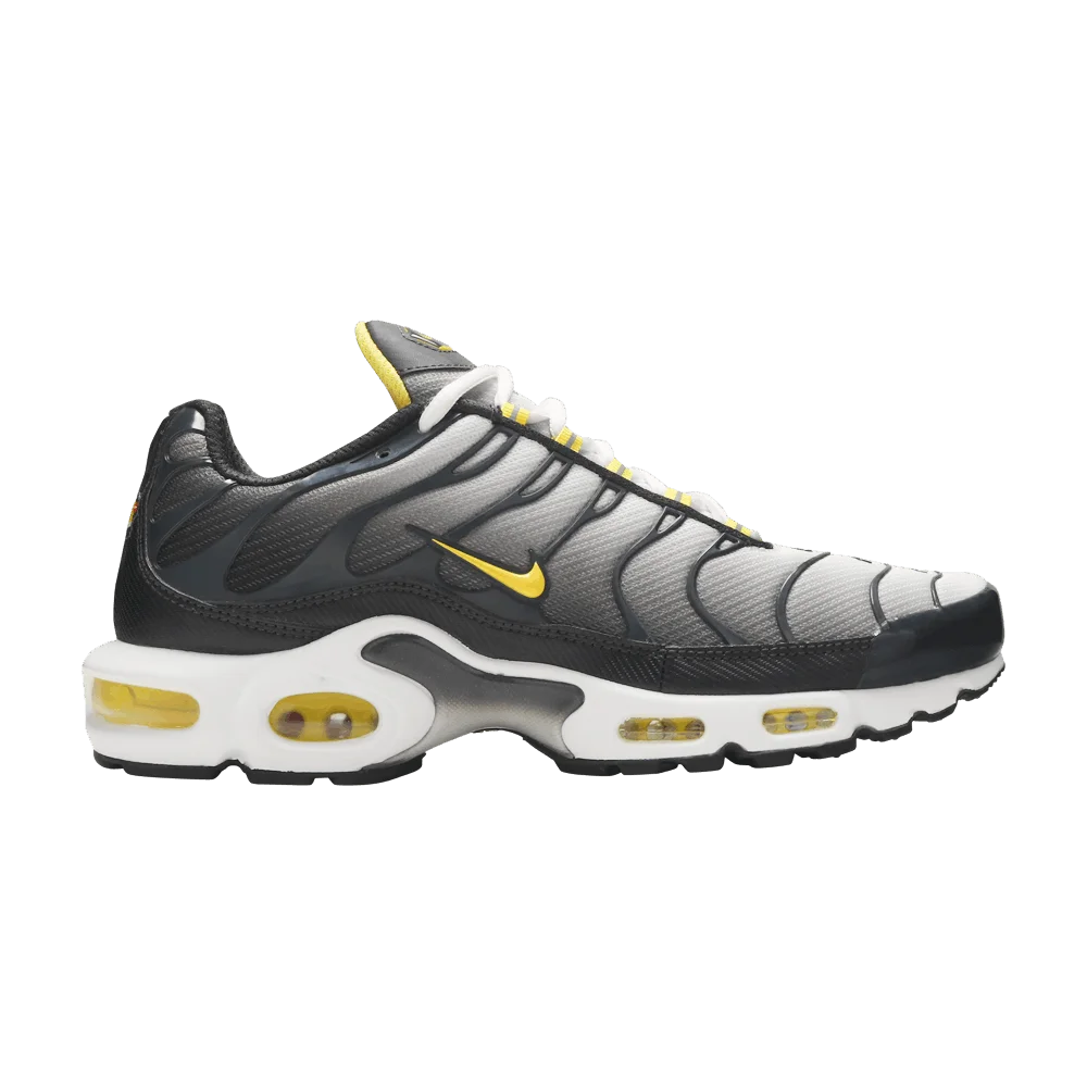Кроссовки Nike Air Max Plus 'Bumble Bee'
