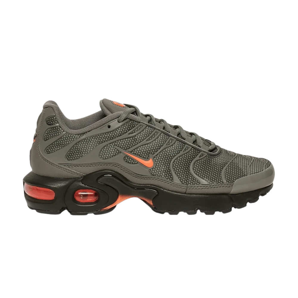Кроссовки Nike Air Max Plus SE BG 'Dark Stucco'