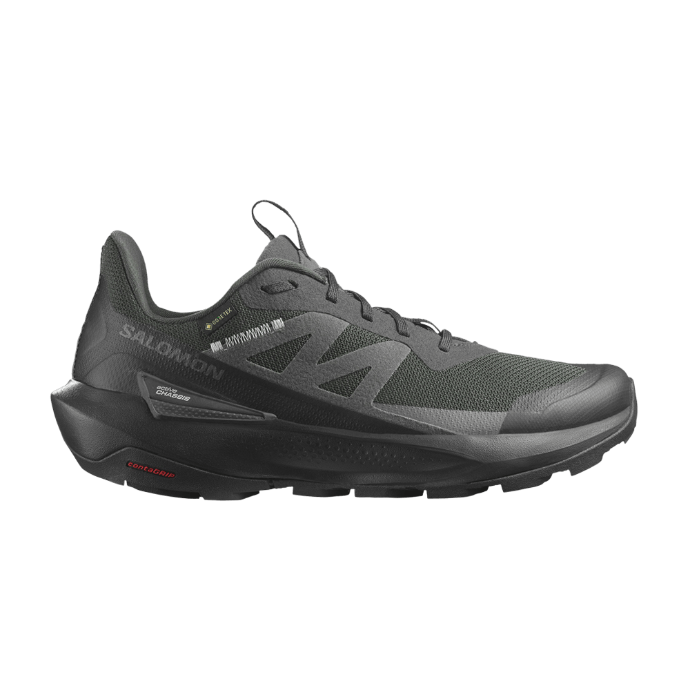 Кроссовки Salomon Elixir Activ GORE-TEX 'Phantom'