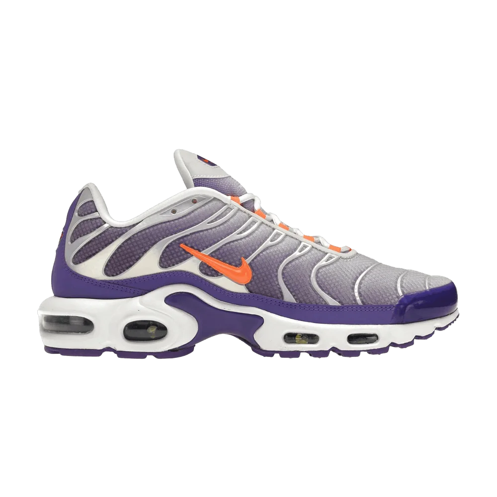 Кроссовки Nike Air Max Plus 'Color Flip'