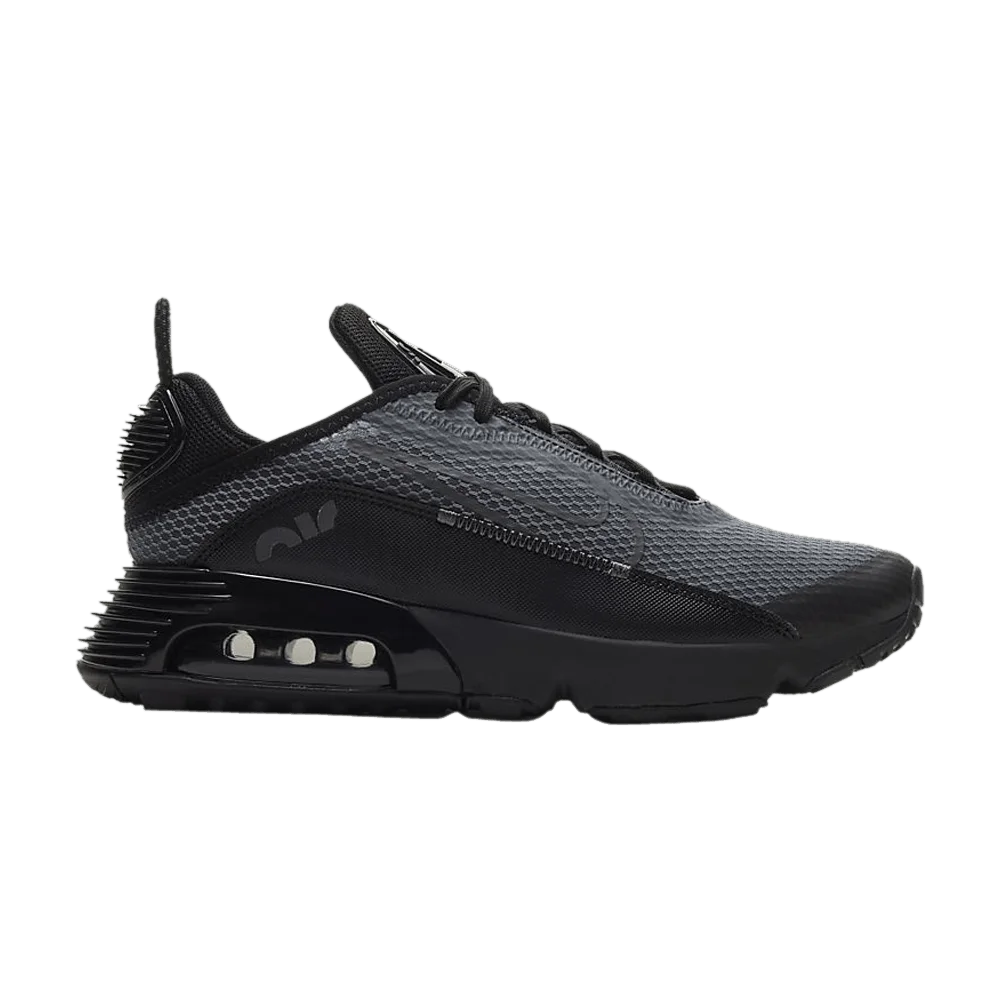 Кроссовки Nike Air Max 2090 GS 'Black Wolf Grey'