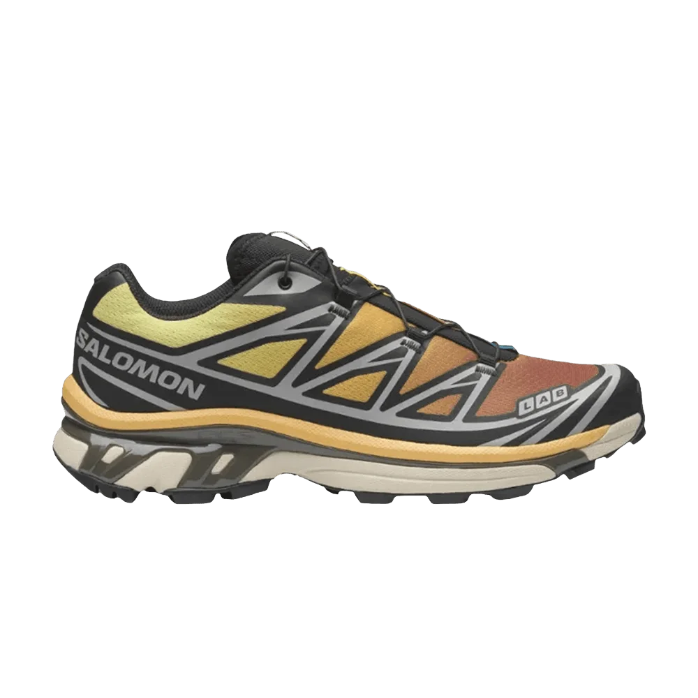Кроссовки Salomon XT-6 'Black Grape Leaf'
