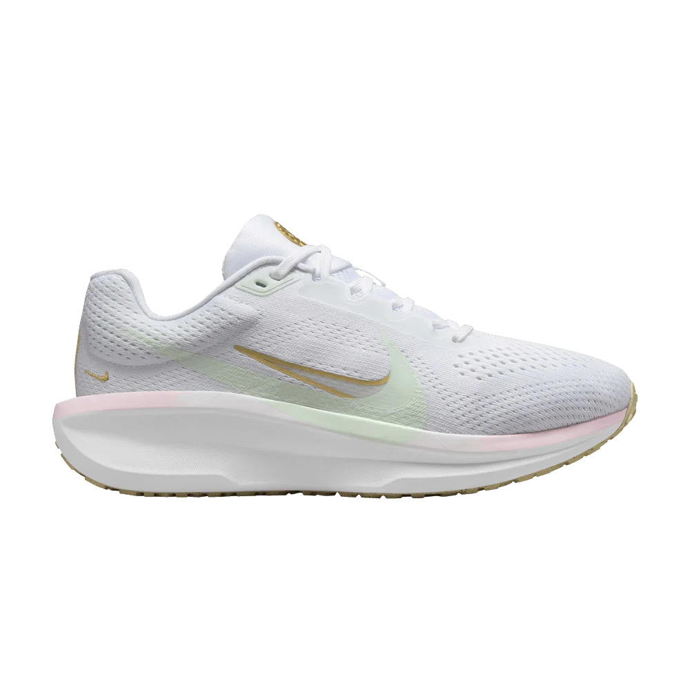 Кроссовки Nike Wmns Air Winflo 11 'Be The One'