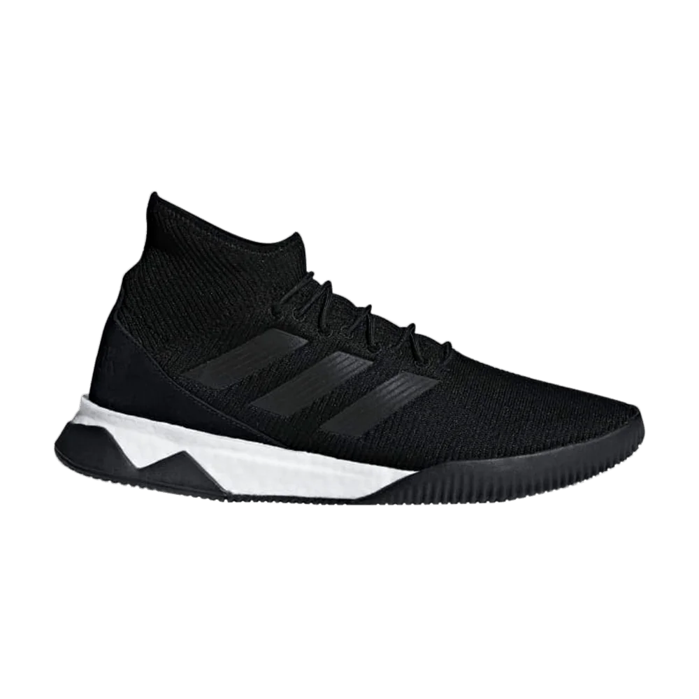 Кроссовки adidas Predator Tango 18.1 TR 'Black'