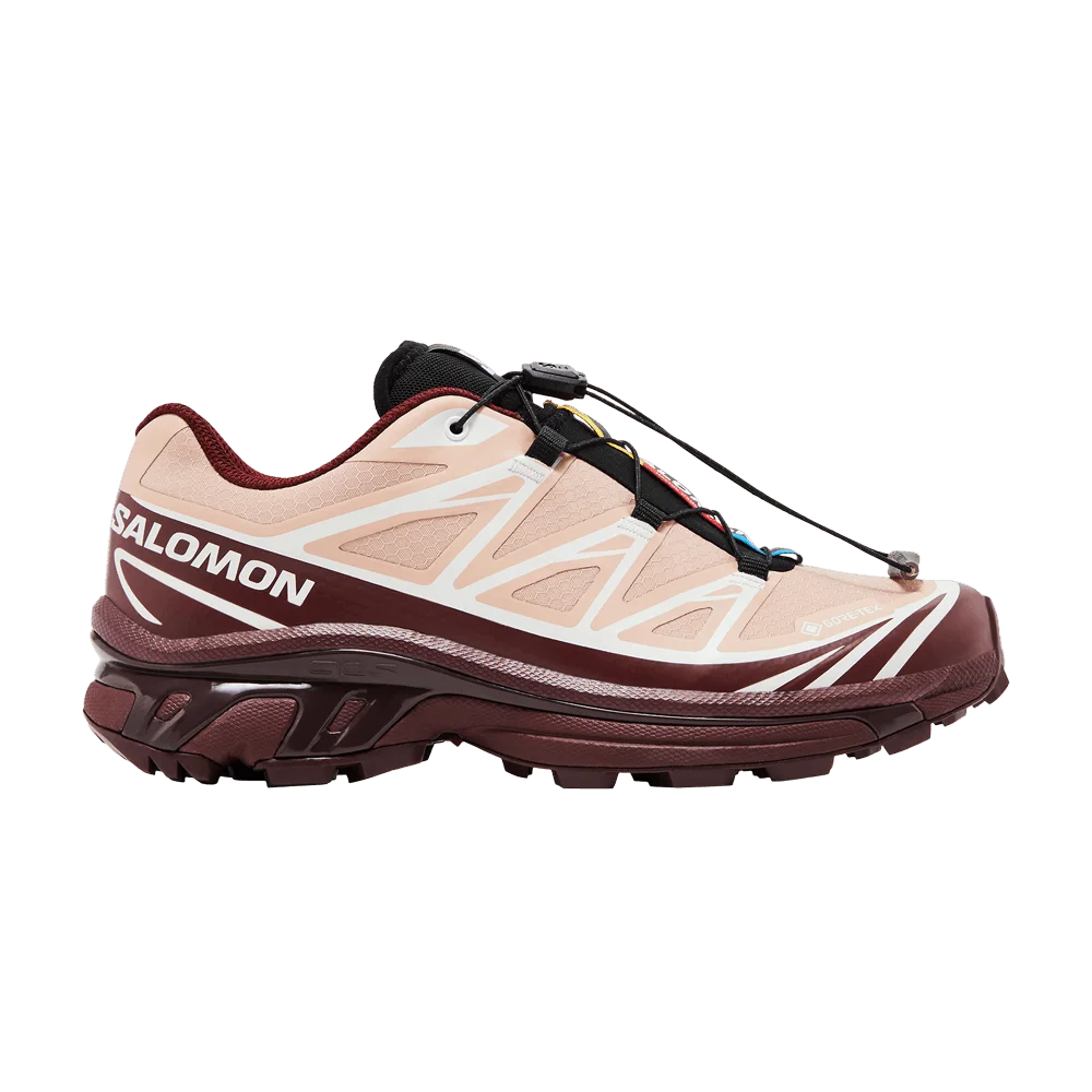Кроссовки Salomon XT-6 GORE-TEX 'Mahogany Rose'