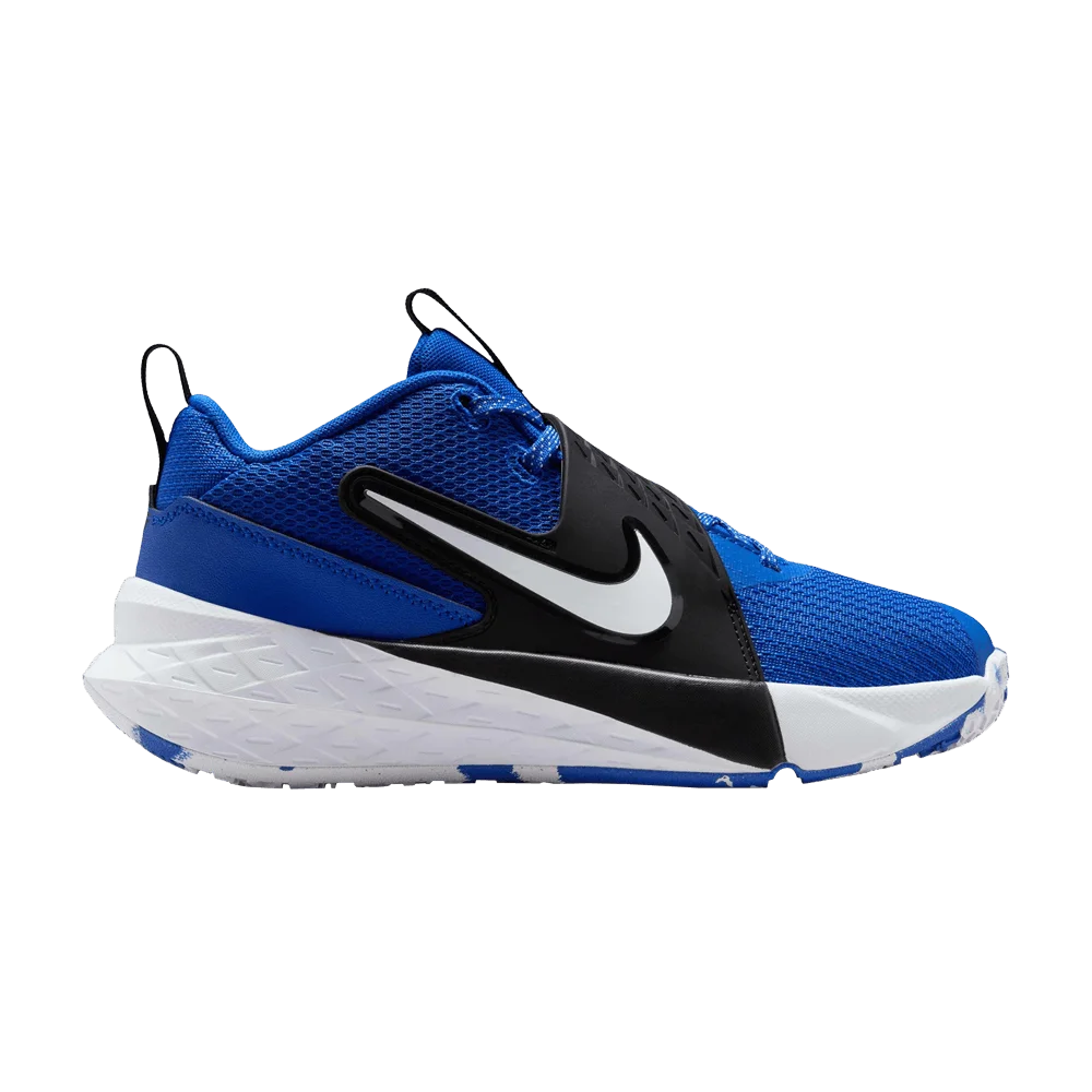 Кроссовки Nike Team Hustle D12 GS 'Game Royal'