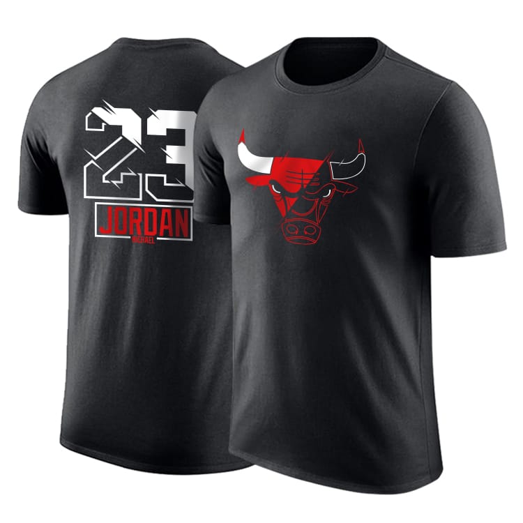 Футболка DPOY Chicago Bulls Jordan Logo T-shirt