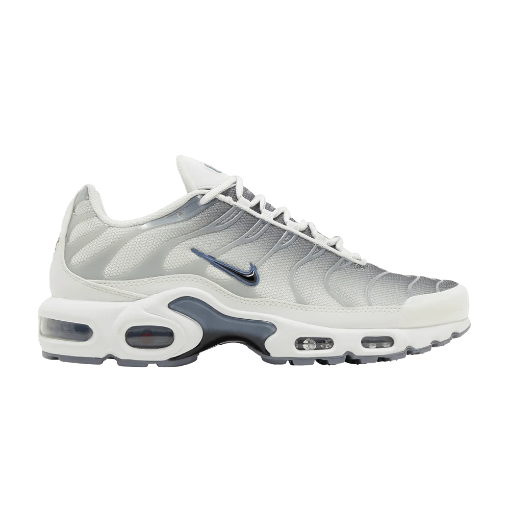 Кроссовки Nike Wmns Air Max Plus 'Smoke Grey Ashen Slate'