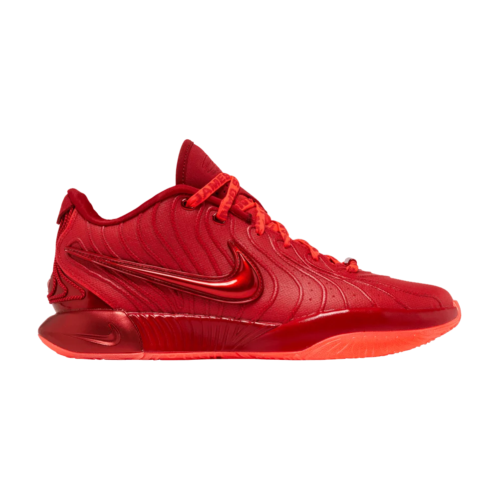 Кроссовки Nike LeBron 21 'James Gang'