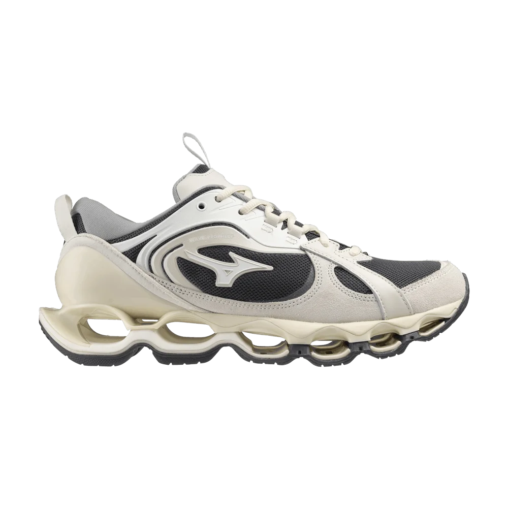 Кроссовки Mizuno Wave Prophecy Beta 2 'Dark Shadow White'