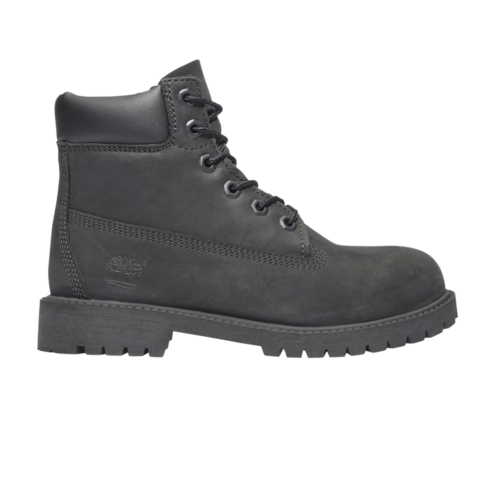 Кроссовки Timberland 6 Inch Premium Waterproof Boot Junior 'Black'