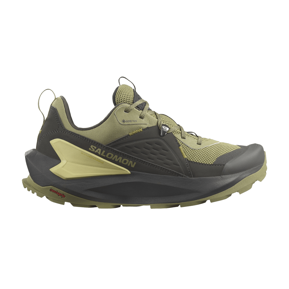 Кроссовки Salomon Elixir GORE-TEX 'Black Dried Herb'