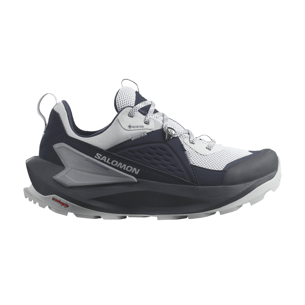 Кроссовки Salomon Wmns Elixir GORE-TEX 'Carbon Flint Stone'