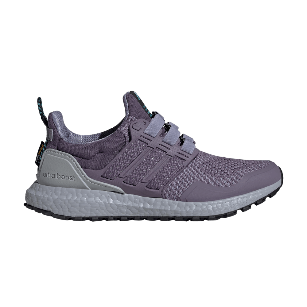 Кроссовки adidas Wmns UltraBoost 1.0 'Shadow Violet'