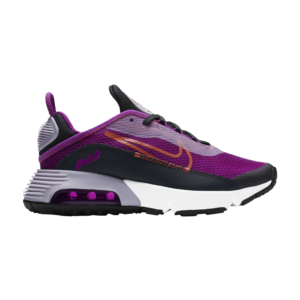 Кроссовки Nike Air Max 2090 GS 'Violet Frost'