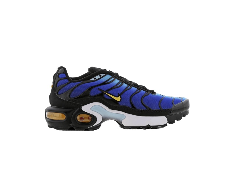 Кроссовки Nike Air Max Plus GS 'Hyper Blue'