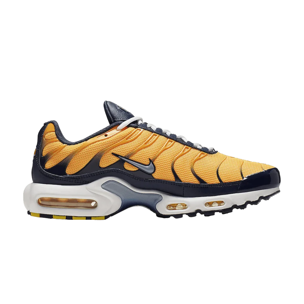 Кроссовки Nike Air Max Plus