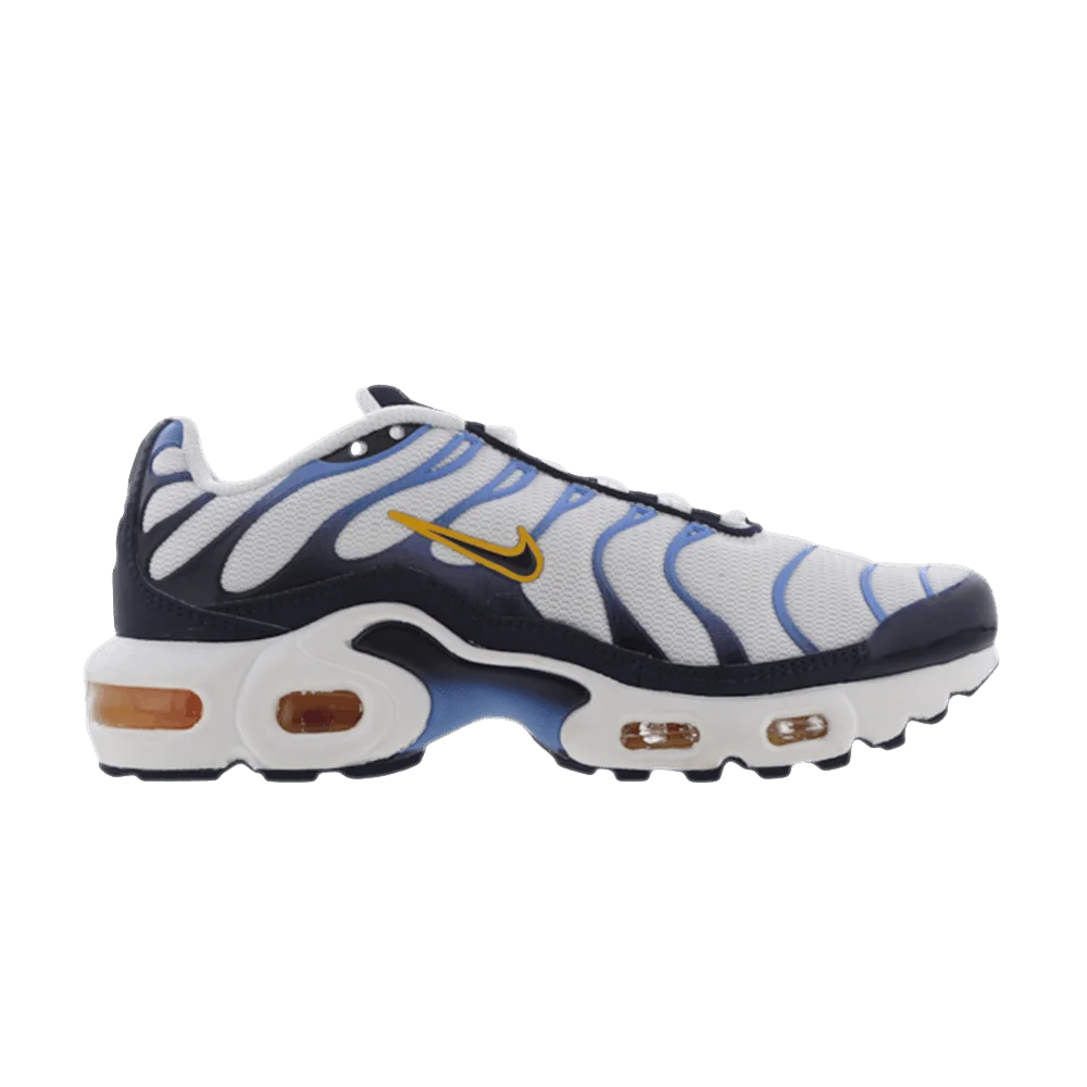 Кроссовки Nike Air Max Plus GS 'White Midnight Navy'