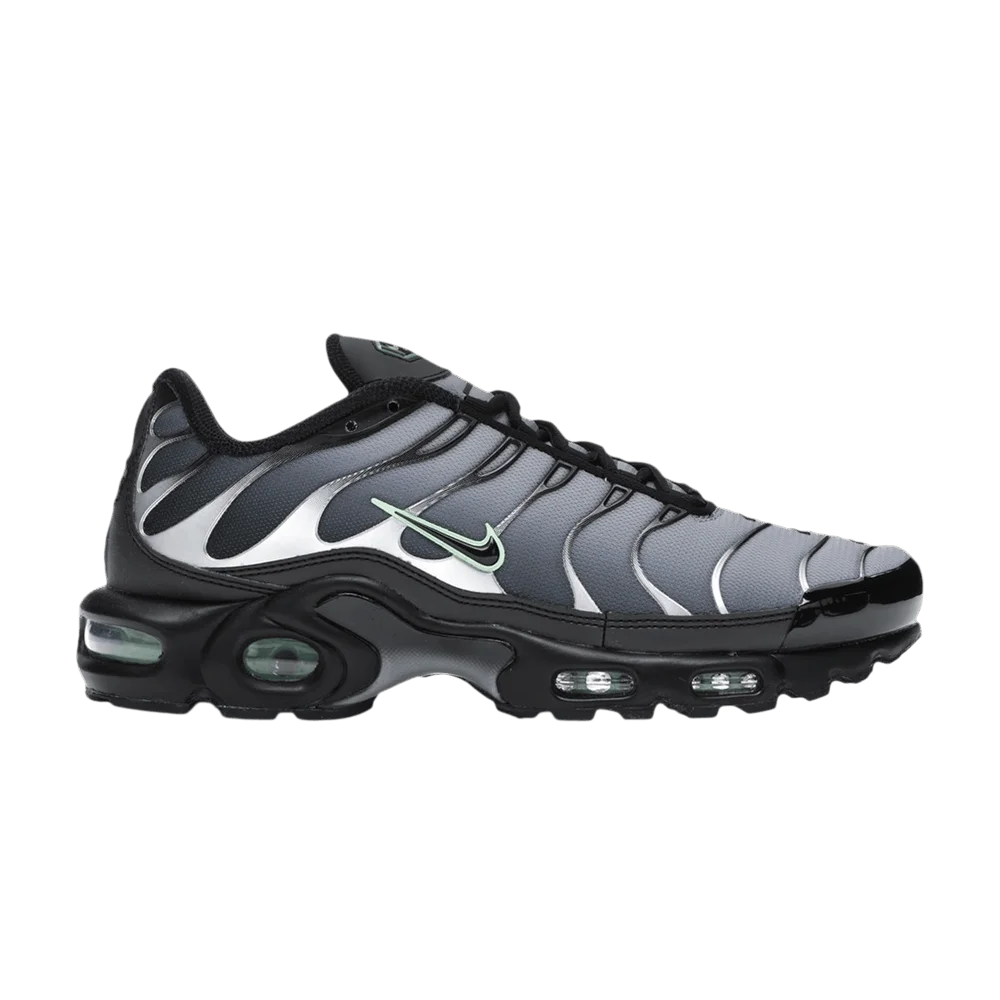 Кроссовки Nike Air Max Plus 'Particle Grey Vapour Green'