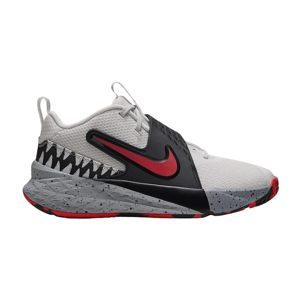 Кроссовки Nike Team Hustle D 12 SE GS 'Summit White Wolf Grey'