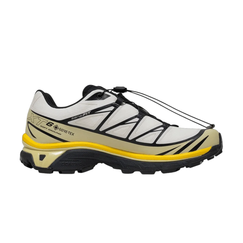 Кроссовки Salomon Xt-6 GORE-TEX 'Vanilla Ice Bog'