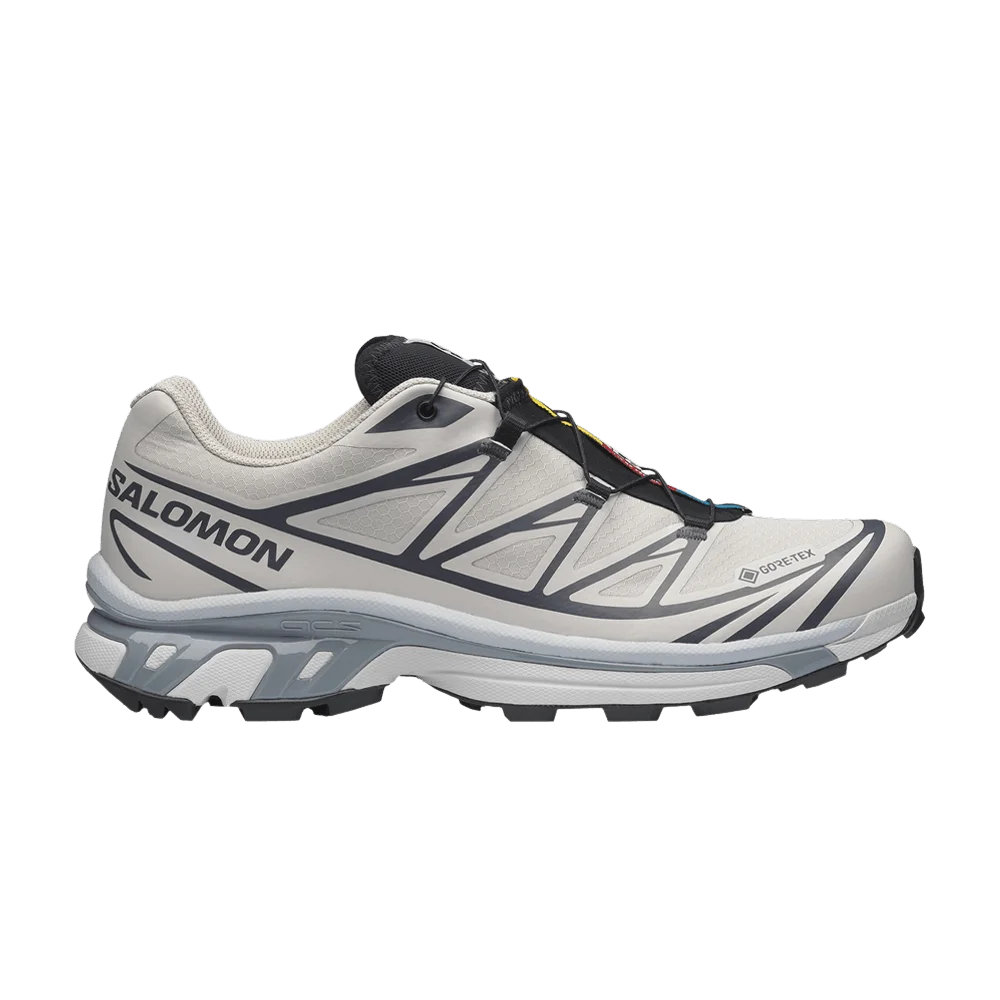 Кроссовки Salomon XT-6 GORE-TEX 'Silver Cloud Black'
