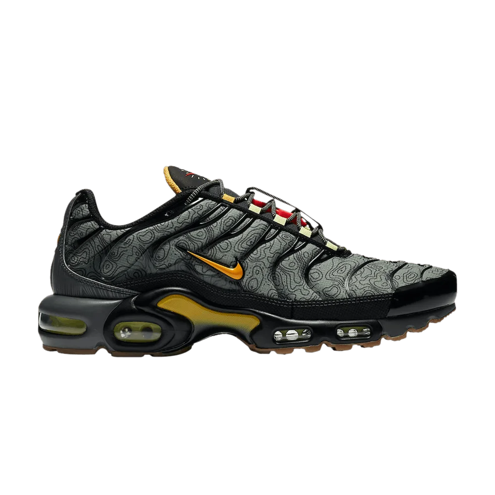 Кроссовки Nike Air Max Plus 'Fresh Perspective'