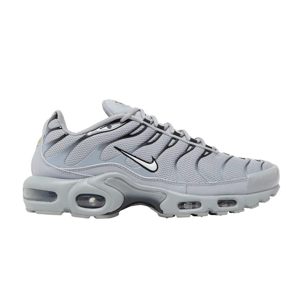 Кроссовки Nike Air Max Plus TN 'Wolf Grey'