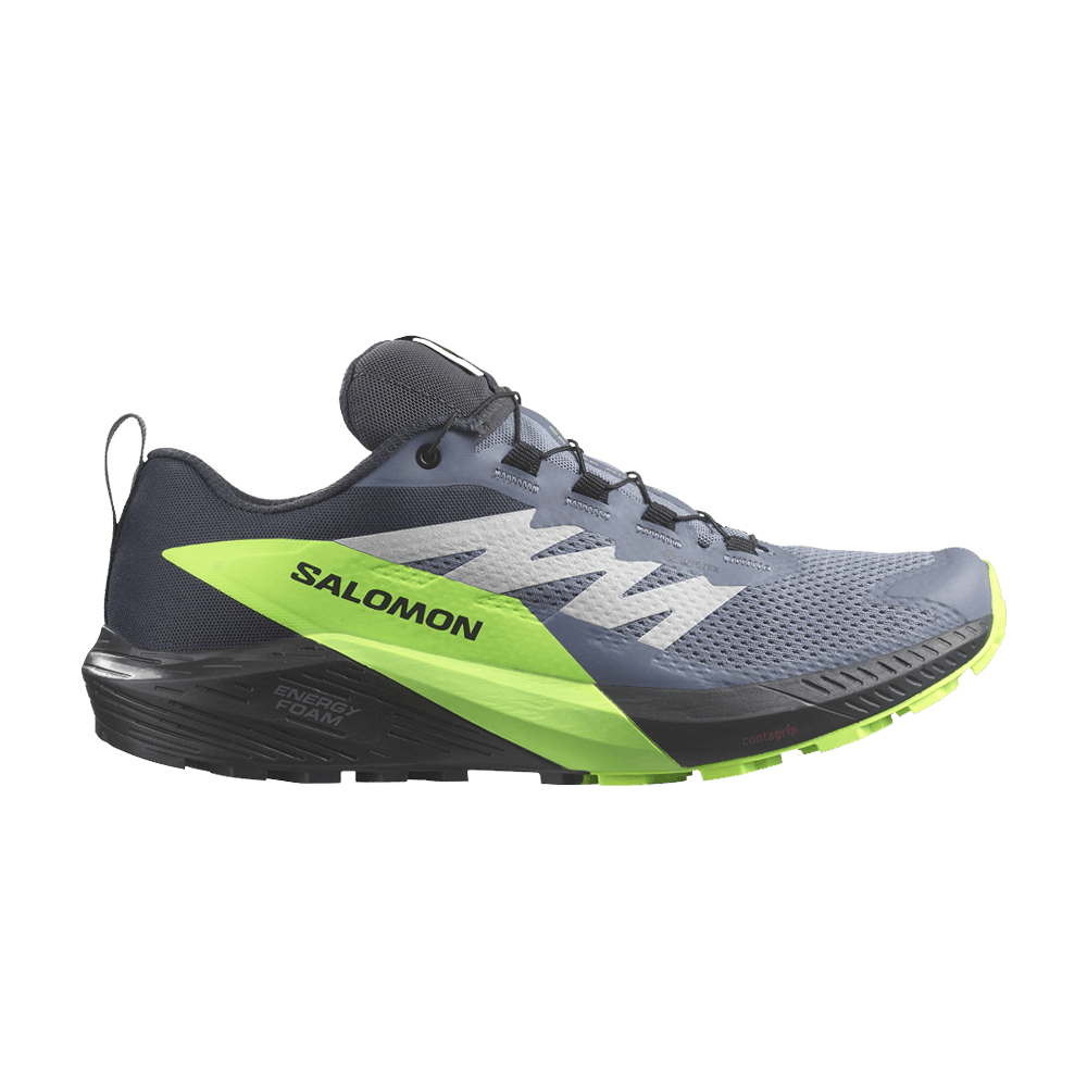 Кроссовки Salomon Sense Ride 5 GORE-TEX 'Flint Stone Green Gecko'