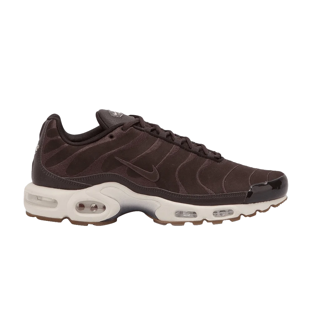 Кроссовки Nike Air Max Plus EF 'Velvet Brown'