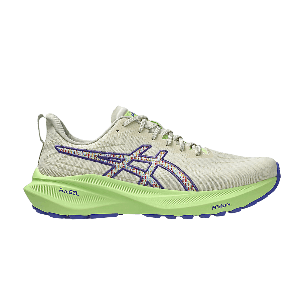 Кроссовки ASICS GT 2000 13 TR 'Nature Bathing'