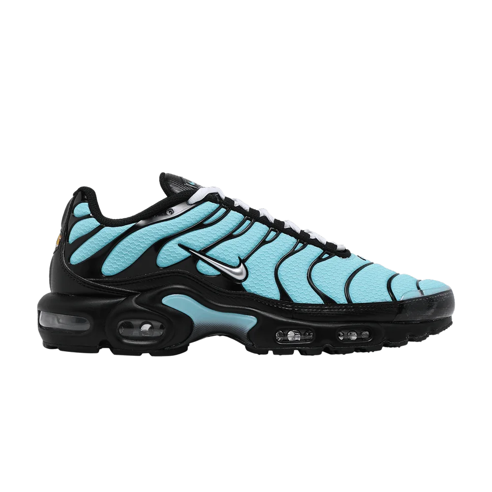 Кроссовки Nike Air Max Plus 'Aqua Silver'