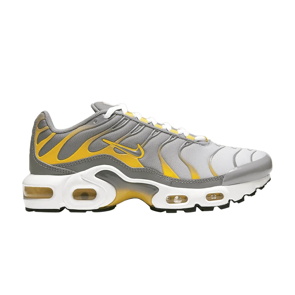 Кроссовки Nike Air Max Plus GS 'Particle Grey Dark Sulfur'