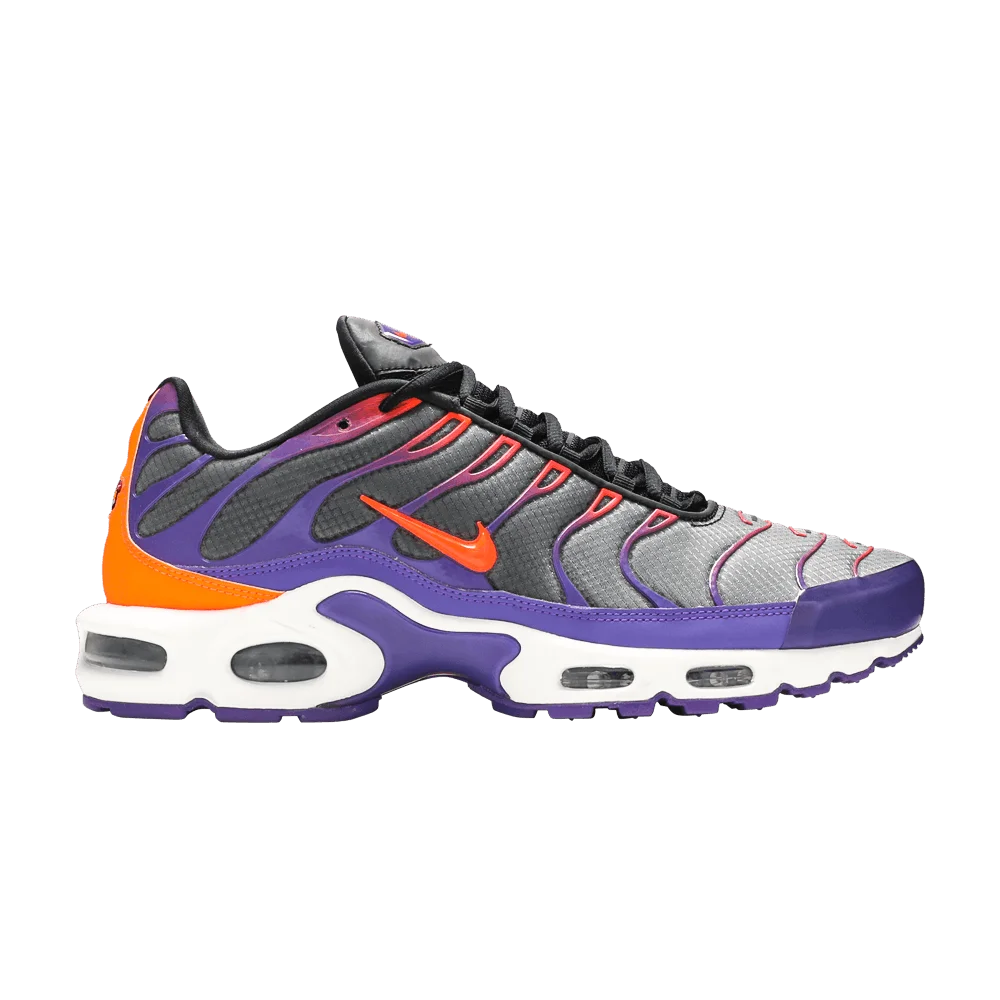 Кроссовки Nike Air Max Plus 'Color Flip'