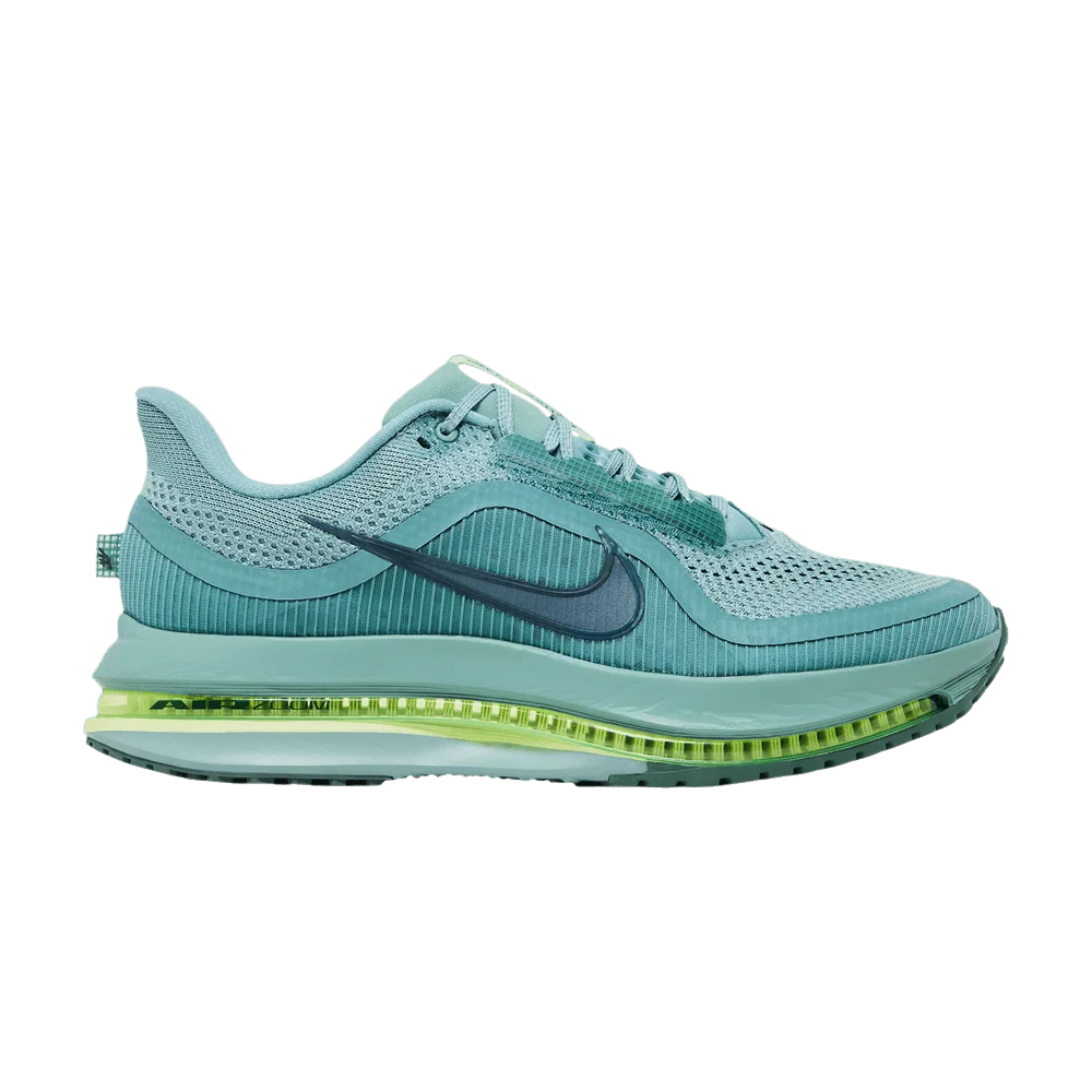 Кроссовки Nike Pegasus Premium 'Cannon'