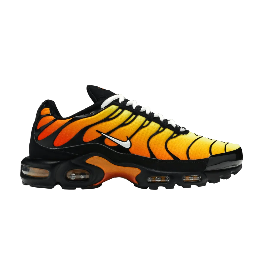 Кроссовки Nike Air Max Plus OG 'Tiger'